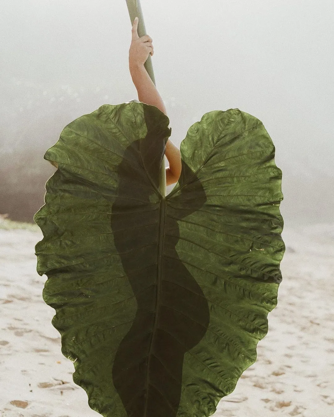A love letter to women who have miscarried
